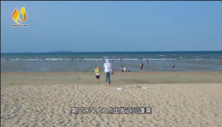 暑期帶娃哪里去—金輝帶您暢游長(zhǎng)島