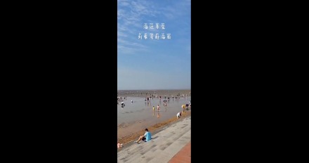 海邊尋寶，劉家灣趕海園—泰安金輝國(guó)旅